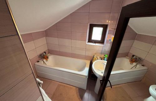 Somova House | Casa Lenuta