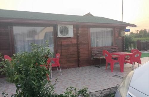 Barcea Mica House | Casa Leo