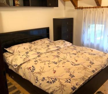 Viseu de Jos House | Casa Livada cu Meri