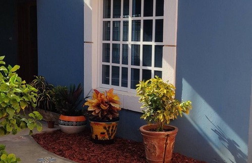 Merida House | Casa Livingston.Bellísimanopen flor plan , large pool, well maintained home
