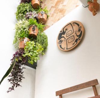 Reforma House | Casa los Changos