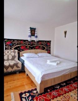 Viseu de Jos House | Casa Luca