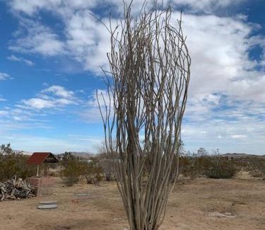 Yucca Valley House | Casa Luna Vista