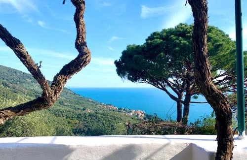 Lerici House | Casa Møjn