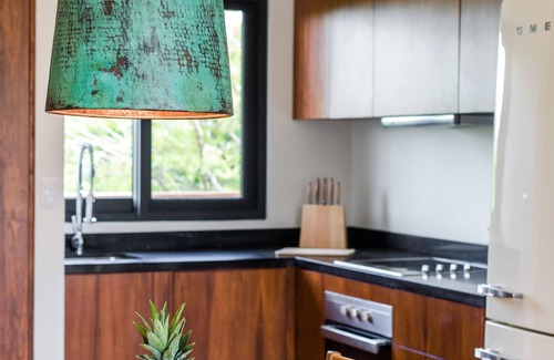 Zama Apartment | Casa Madera Tulum - PH with private pool and bbq, 10 minutes from the beach.