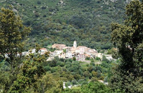 Zilia Bed & Breakfast | Casa Maestracci, chambres d'hôtes de charme à Zilia
