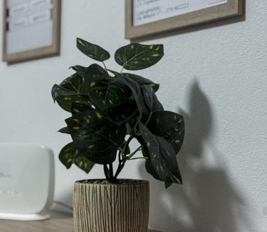 Olmedo Apartment | Casa MaJe