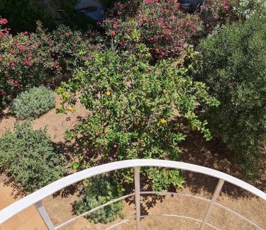 Balcon del Mar Apartment | Casa Malika