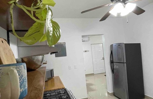 Ejidal House | Casa Mamey 2 km. de la 5a Avenida!