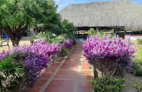 Manaure House | Casa Manaure