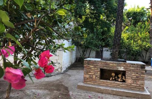Mulege House | Casa Manglares