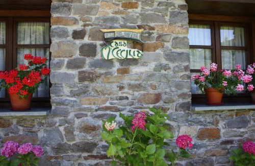 Vega de Rengos House | Casa María Cecilia
