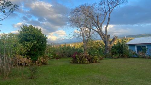 La Mandarina House | Casa Marigold