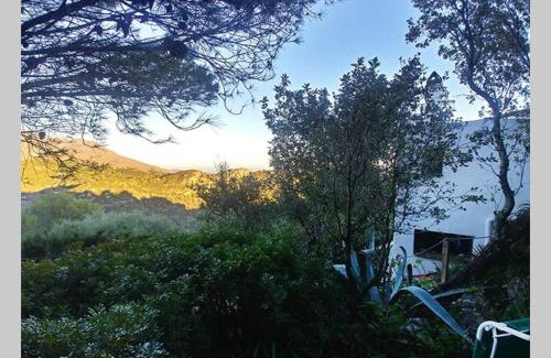 Casares Apartment | Casa Mariposa