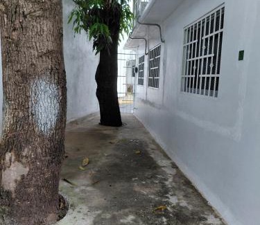 Jardin House | Casa Marlix