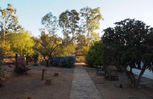 Valle de Guadalupe Bed & Breakfast | Casa Mayoral B&B Pet friendly