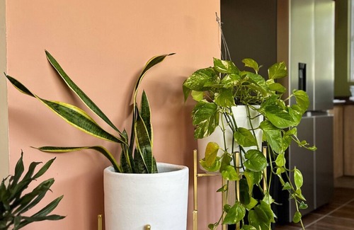 Fraccionamiento Revolucion Apartment | Casa Membrillo in Tlaquepaque near the Airport