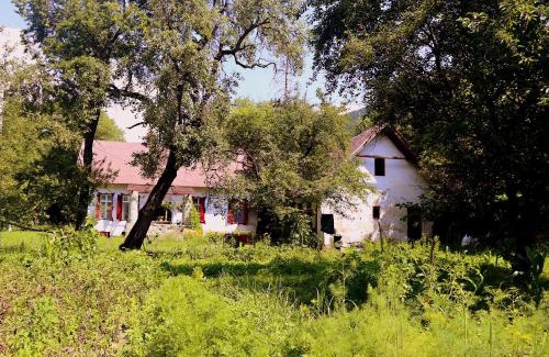 Capatineni-Ungureni House | Casa Memoriala George Stephanescu