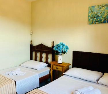 Ouro Preto House | Casa Mestre Ataíde - 14 minutos de caminhada até o Centro Histórico - Capacidade para até 6 pessoas