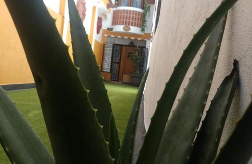 Villa de Guadalupe House | Casa Mexicana Patio