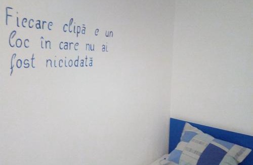 Baile Herculane House | Casa MILOS SI FIUL