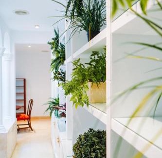 Sagunto House | Casa Modernista "La Trinidad"