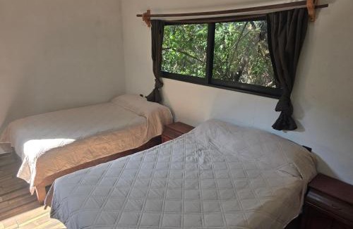 Santa Cecilia House | Casa Momotus