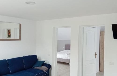 Cavnic House | Casa Mont Blanc Cavnic apartament 2