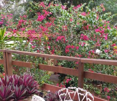 Aguas de Lindoia House | casa montanha com piscina