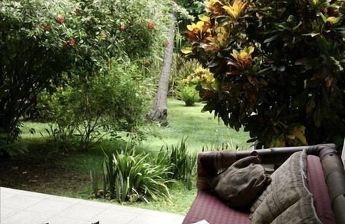 Montezuma Villa | Casa Montezuma: Spectacular Almond-Wood House with Canopy View Deck