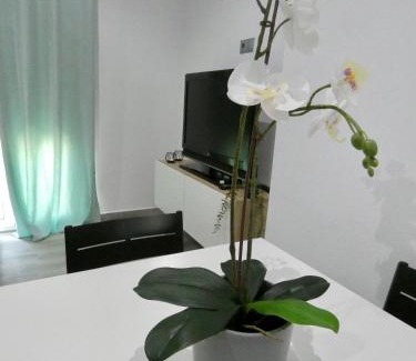 Moguer Apartment | Casa Monturrio