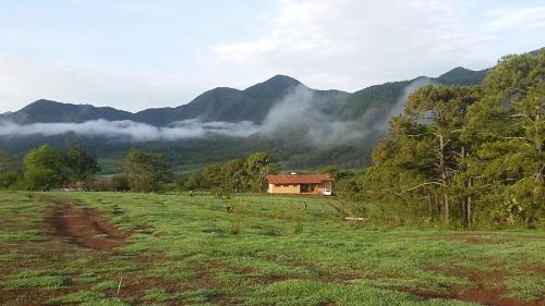 Mascota House | Casa Moonbeam