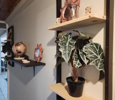 Segunda Seccion House | Casa Morada