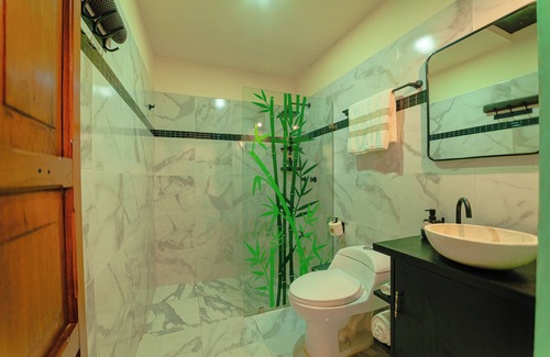 Zona Centro Apartment | Casa Lanz 17th century-center-cathedral-bicycle#3