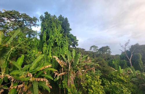 Serra Grande House | Casa na Praça de Serra Grande