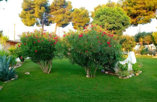 Sarroch Bed & Breakfast | casa Namaste