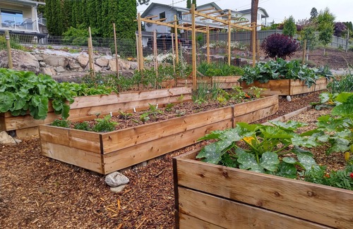 Okanagan-Similkameen House | Casa Naramata - An Okanagan Taste of Italy