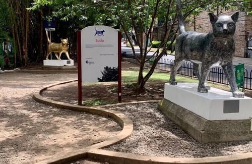 Cali House | Casa Nawi