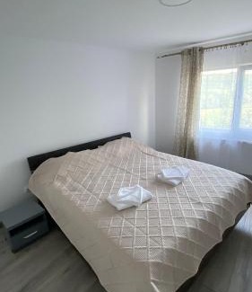 Pucioasa House | Casa NICORAD