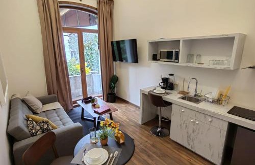 Zona Rosa Apartment | Casa Niza Suites
