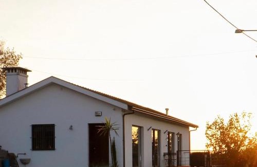 Pevidem House | Casa Nova