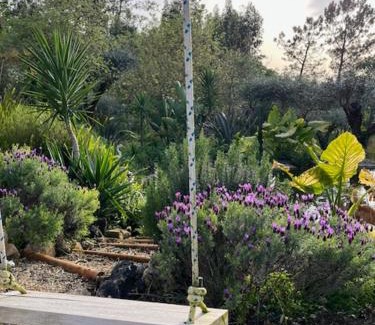 Pedreiras Apartment | Casa Oliva - Casa do Lago