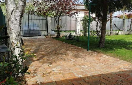 Costinesti House | Casa Olive Costinești