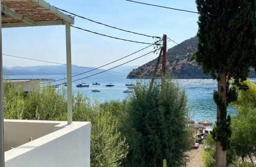 Tolo Villa | Casa olive