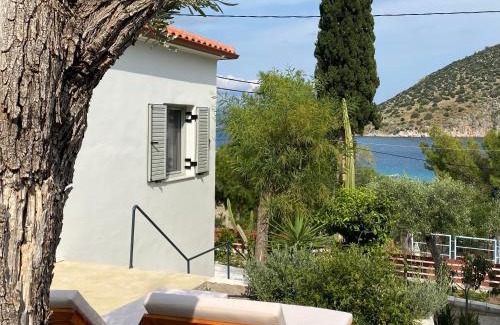 Tolo Villa | Casa olive