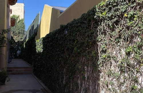 Centro House | Casa Olivo. Encantador lugar en Centro Tequis 6p