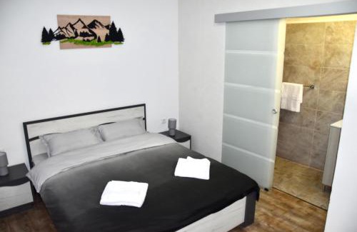 Borsec Apartment | Casa Orhideea