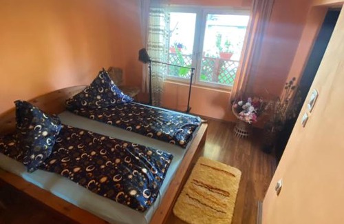 Hateg House | Casa Otilia