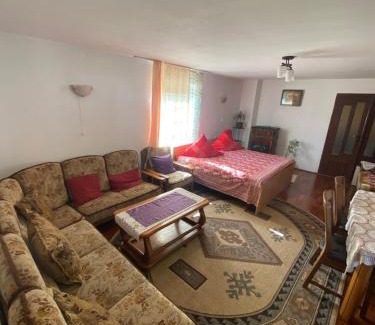 Hateg House | Casa Otilia