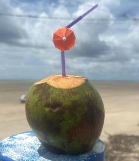 Sao Jose de Ribamar House | Casa Pé na Areia